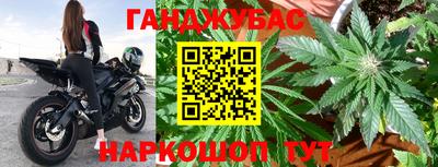 амф Донской