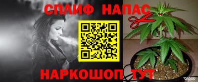 амф Донской