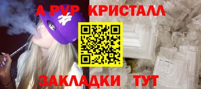 амф Донской