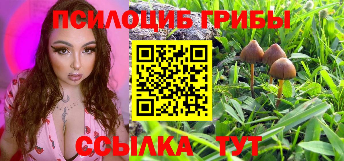 Галлюциногенные грибы GOLDEN TEACHER  Галлюциногенные грибы мицелий  Вход с VPN  Лесосибирск 